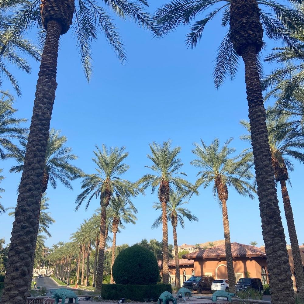 Meet your Posher, Lillian